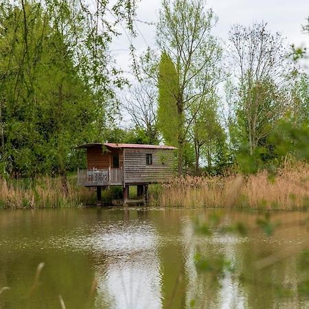 Lakeside Cabin On Stilts- 'Kingfisher' Villa Rous Lench Exteriör bild