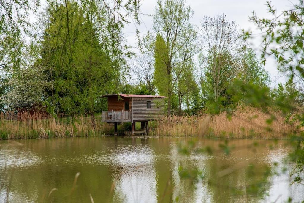 Lakeside Cabin On Stilts- 'Kingfisher' Villa Rous Lench Exteriör bild