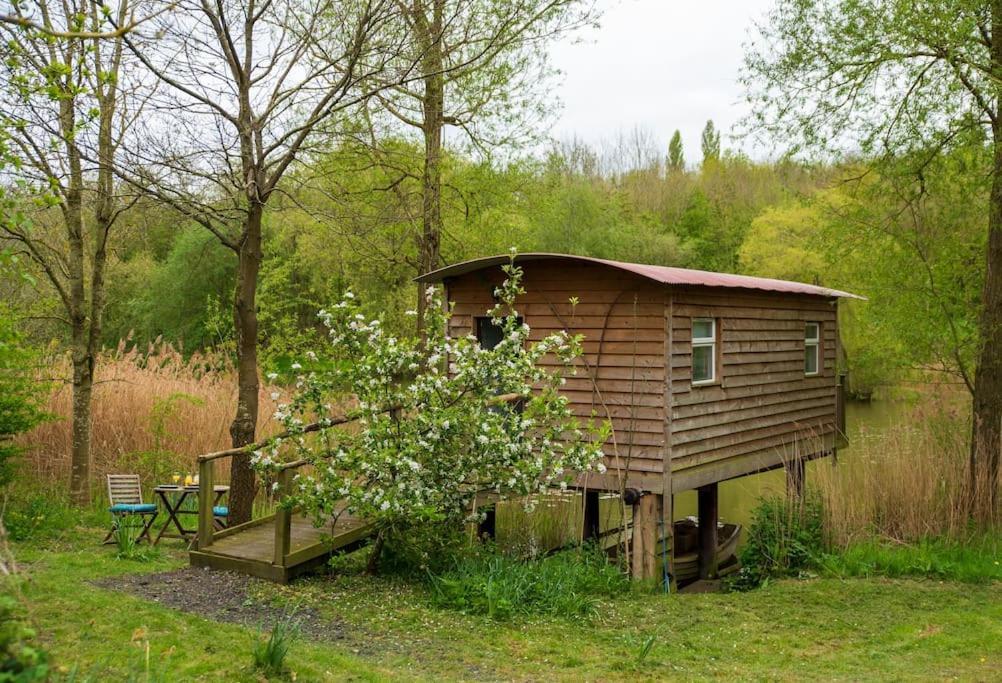 Lakeside Cabin On Stilts- 'Kingfisher' Villa Rous Lench Exteriör bild